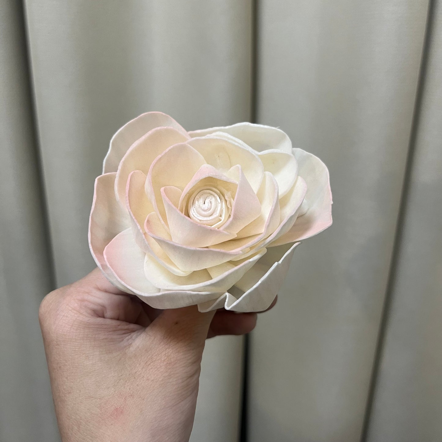 ✿ 台灣現貨 ✿ S-M索拉花 8CM 通草花 擴香花 天使玫瑰 玫瑰 薔薇
