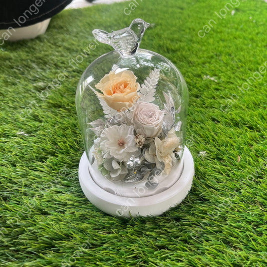 gift-g059永生花罩盅s(帶燈)