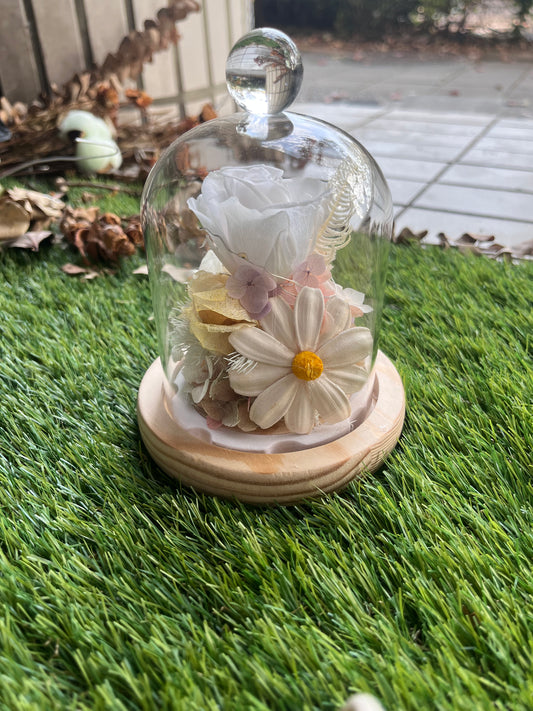 gift-g035永生花罩盅S(帶燈)