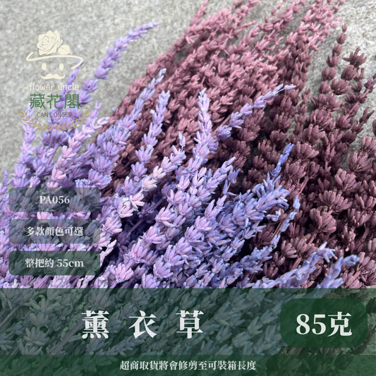 ✿ 台灣現貨 ✿ PA056 薰衣草 原裝