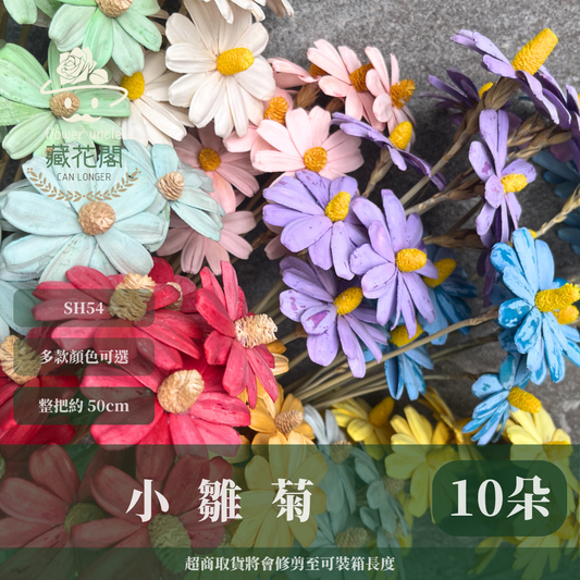 ✿ 台灣現貨 ✿ SH54 小雛菊 原裝 十支裝