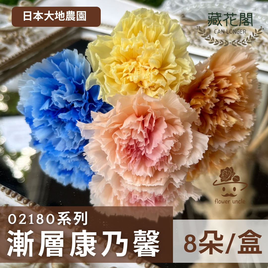 02180/02182 康乃馨5-6.5cm 8朵裝