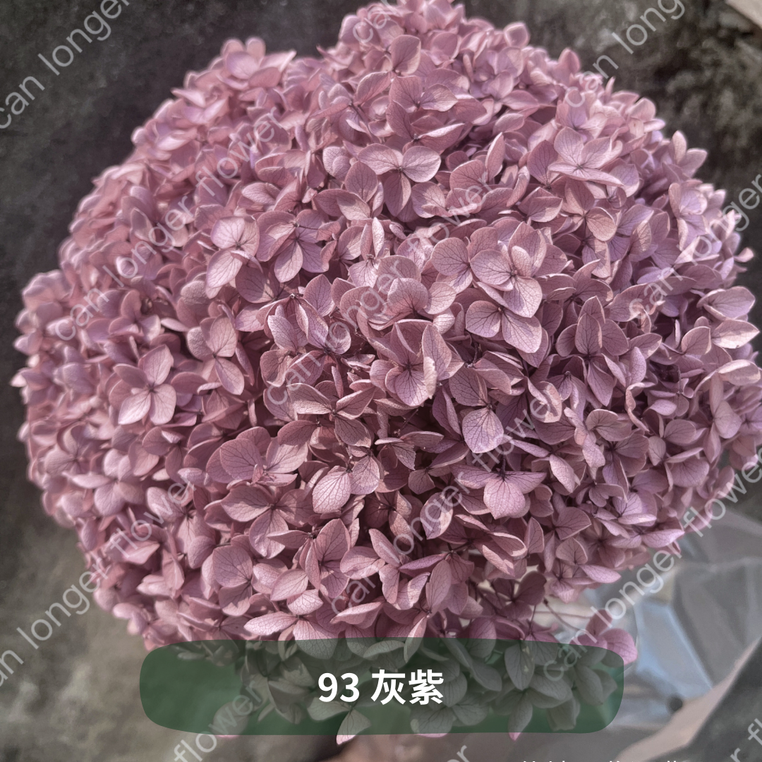 ✿ 台灣現貨 ✿ PF005 安娜繡球 單支 繡球花 繡球 紫陽花