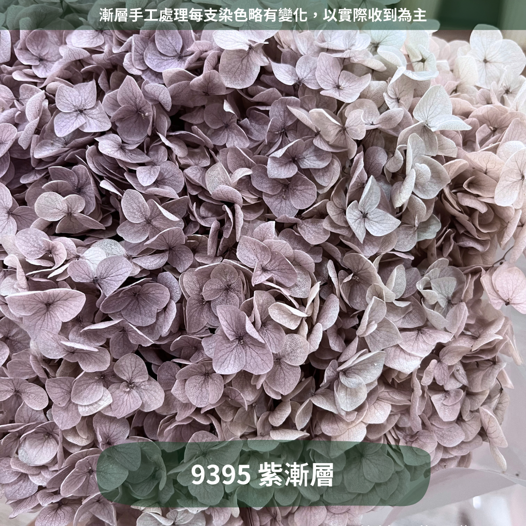 ✿ 台灣現貨 ✿ PF005 安娜繡球 單支 繡球花 繡球 紫陽花