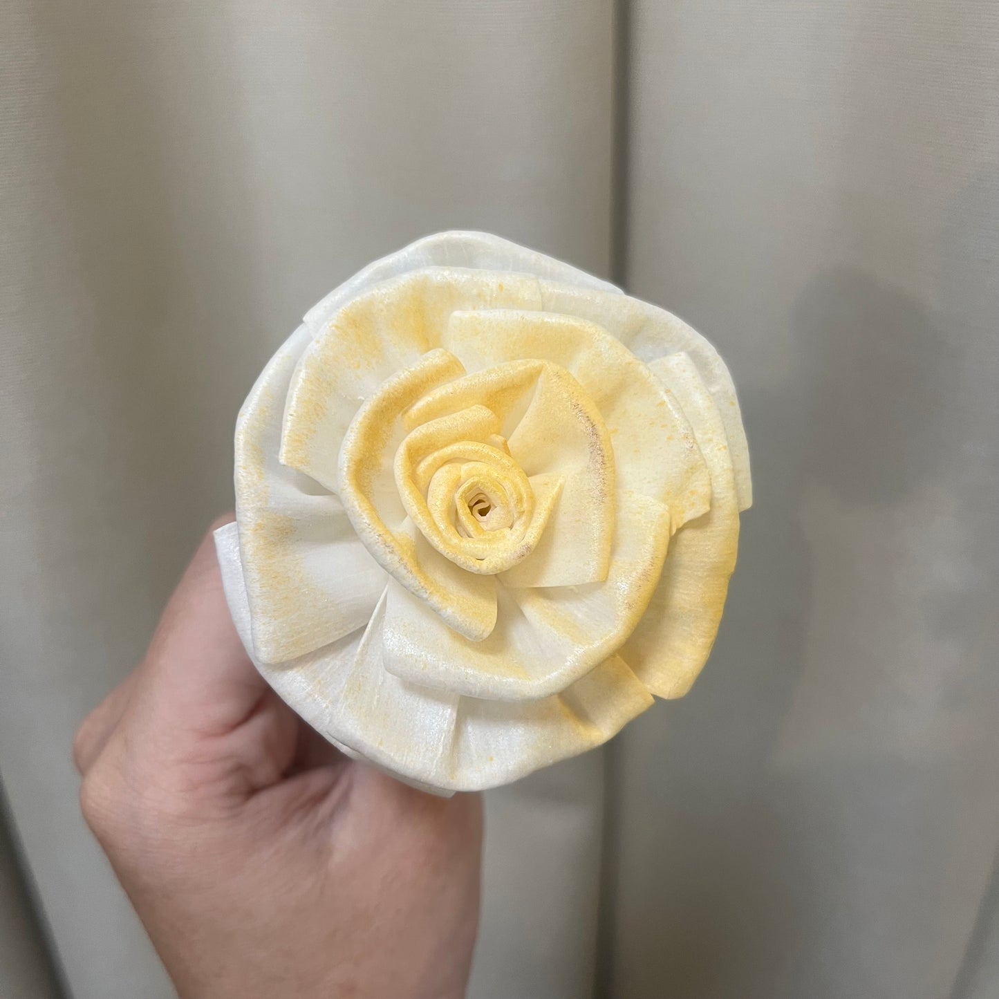 ✿ 台灣現貨 ✿ S-S 索拉花 6CM 通草花 擴香花 情人玫瑰 捲邊玫瑰