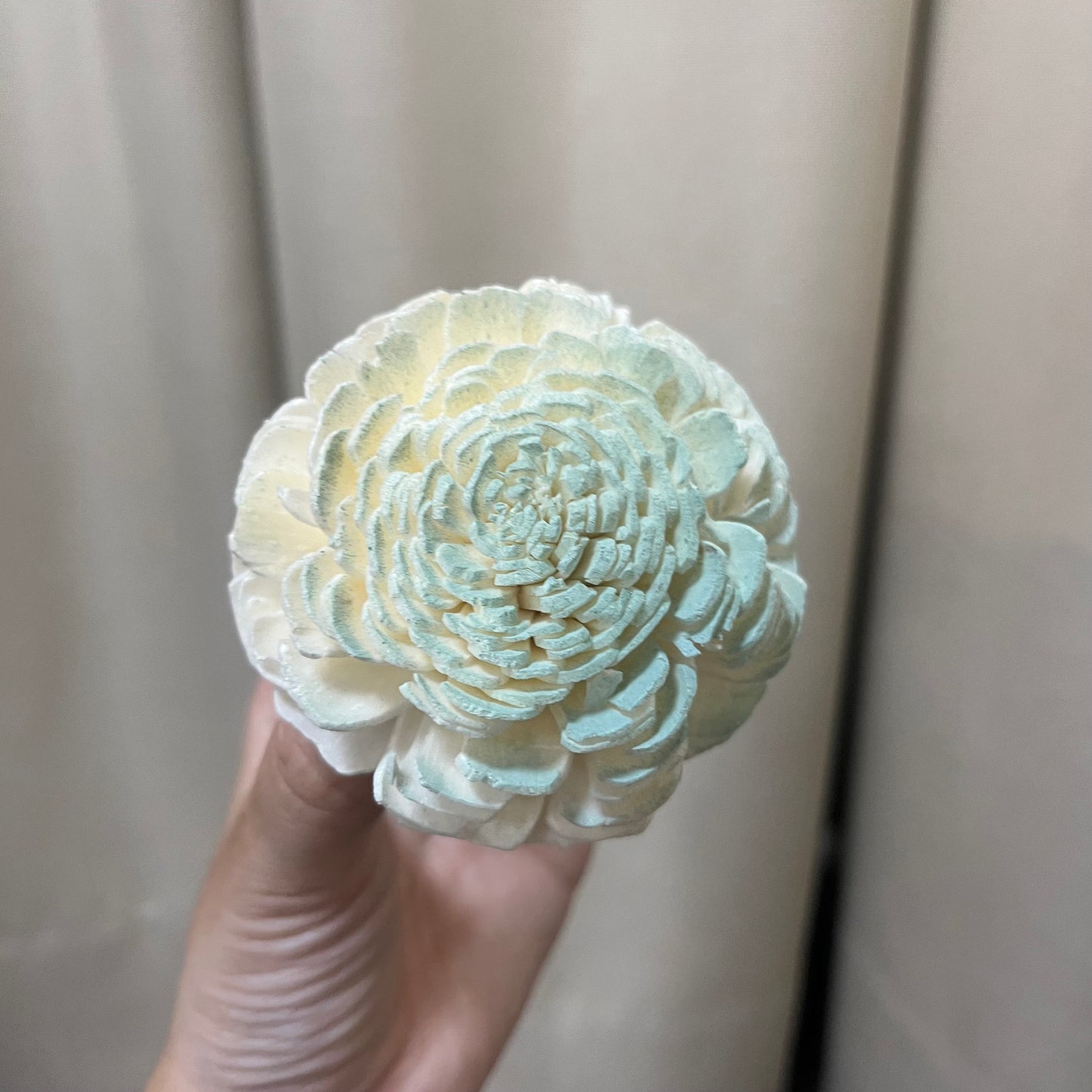 ✿ 台灣現貨 ✿ S-C 索拉花 6CM 通草花 擴香花 太陽玫瑰 日本大地 太陽菊
