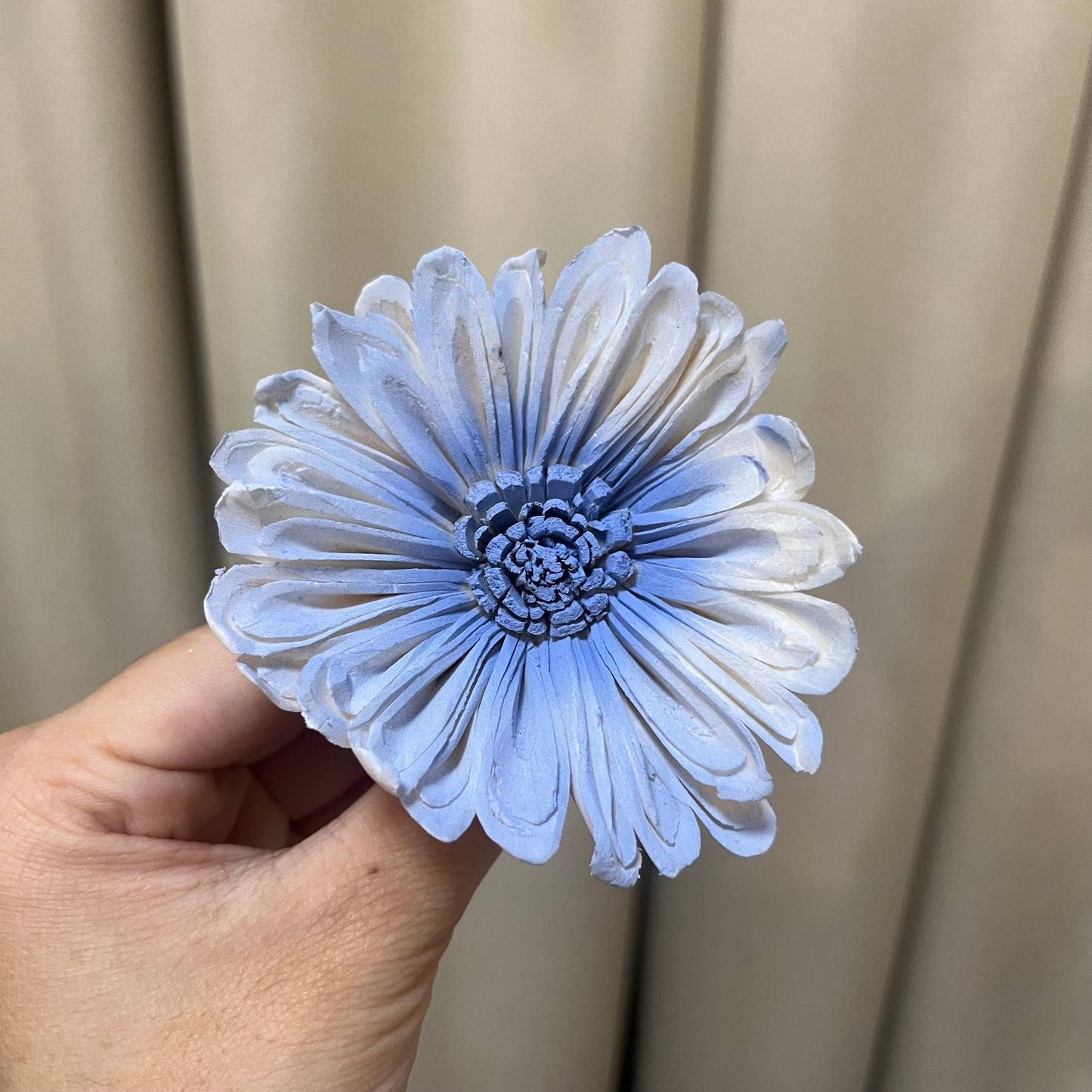 ✿ 台灣現貨 ✿ S-I 索拉花 6CM 通草花 擴香花 太陽菊 非洲太陽