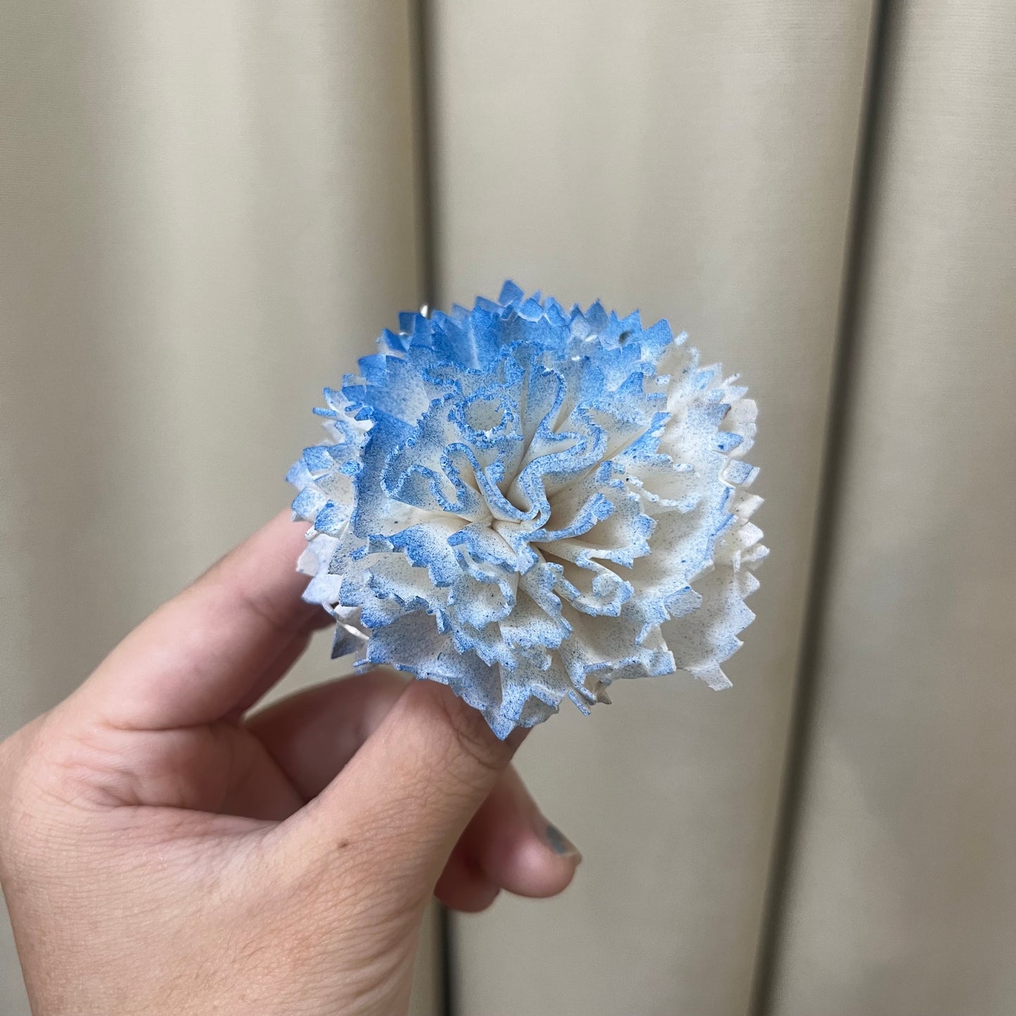 ✿ 台灣現貨 ✿ S-AF 索拉花 6CM 通草花 擴香花 康乃馨 小菊