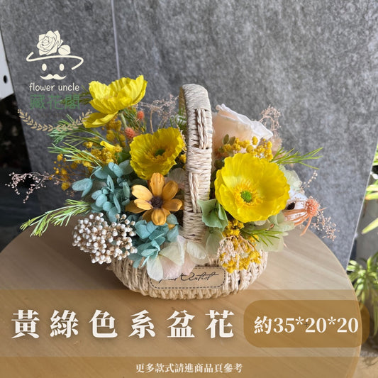 Gift-f059 夏日色調黃綠色系提籃 黃色 綠色 盆花 夏日感 開幕 送禮 慶賀 花籃