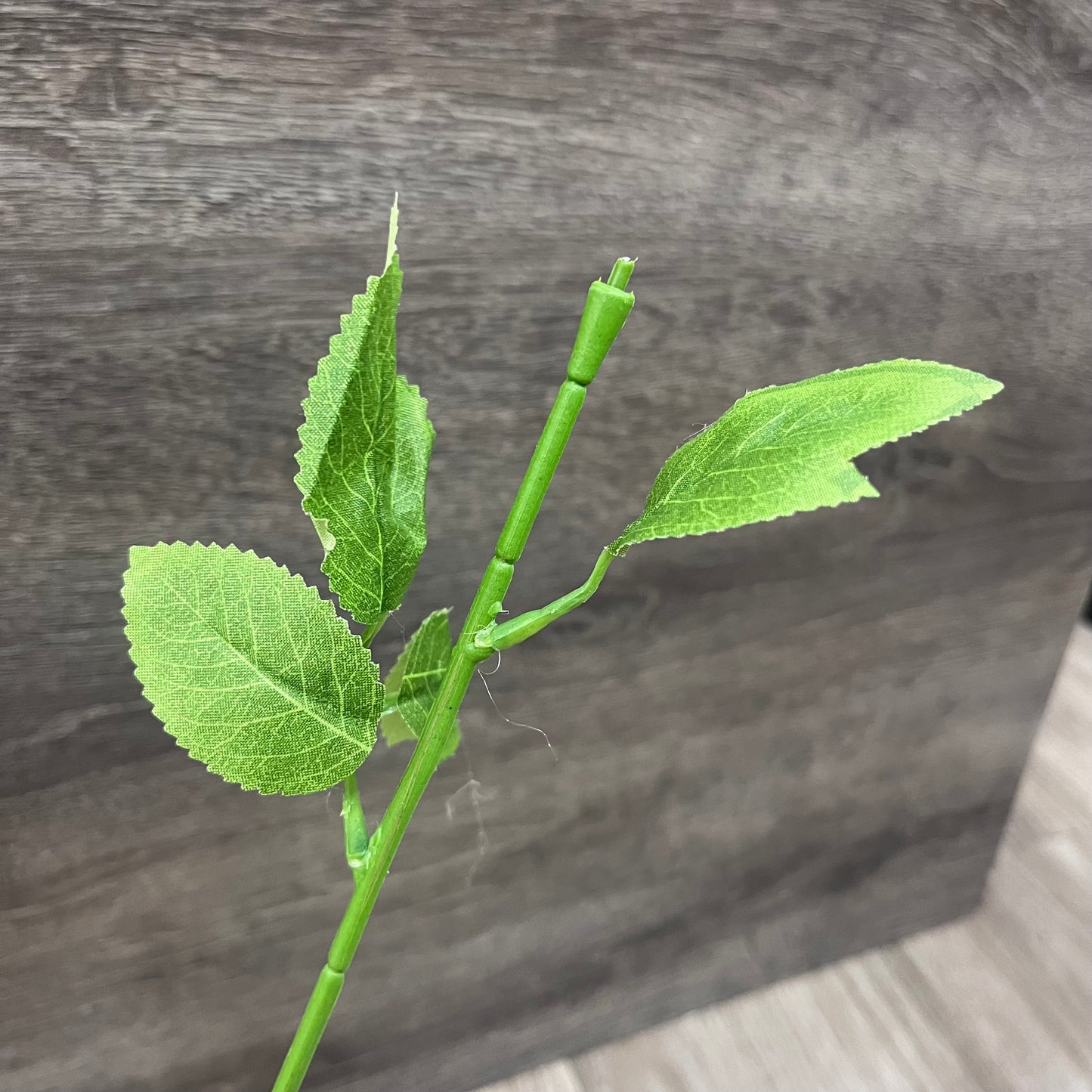 EM046 花莖/香皂花桿