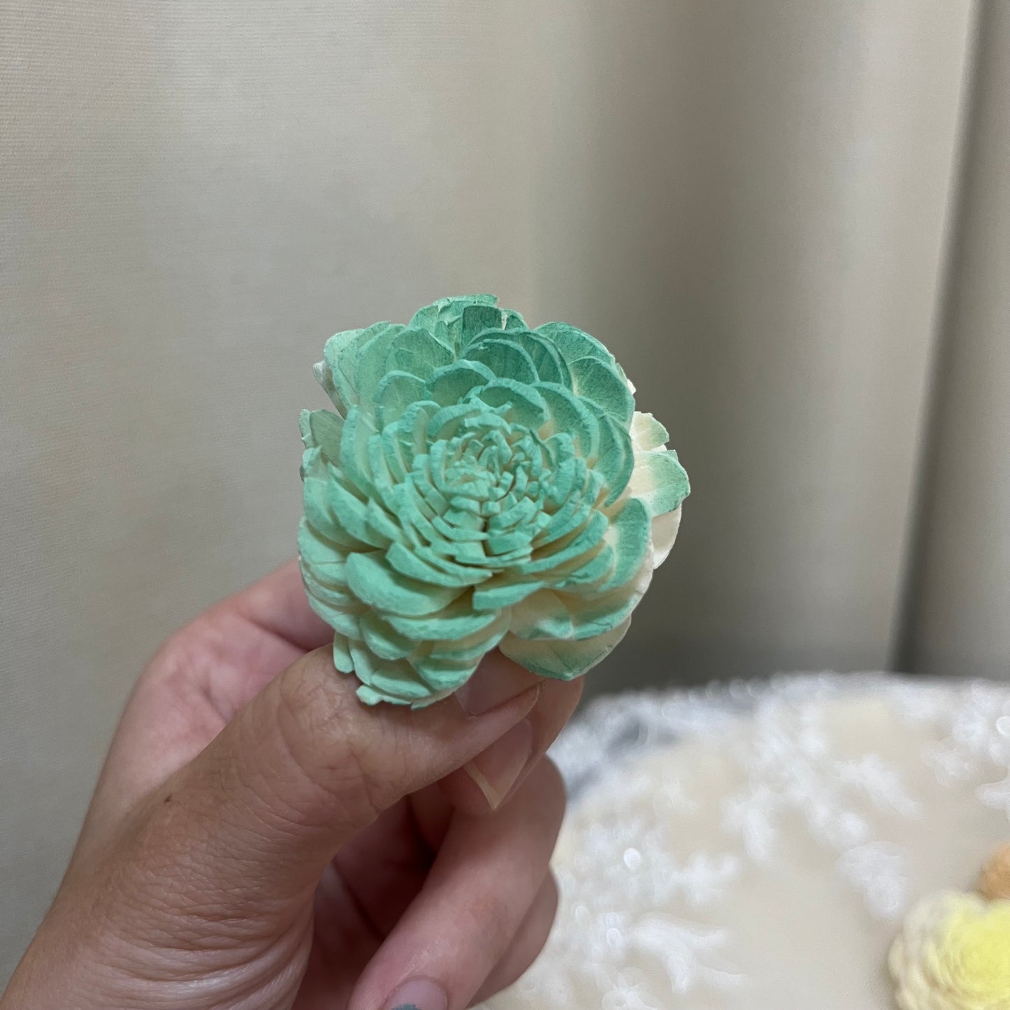 ✿ 台灣現貨 ✿ S-b 索拉花 4CM 通草花 擴香花 太陽玫瑰 日本大地 太陽菊