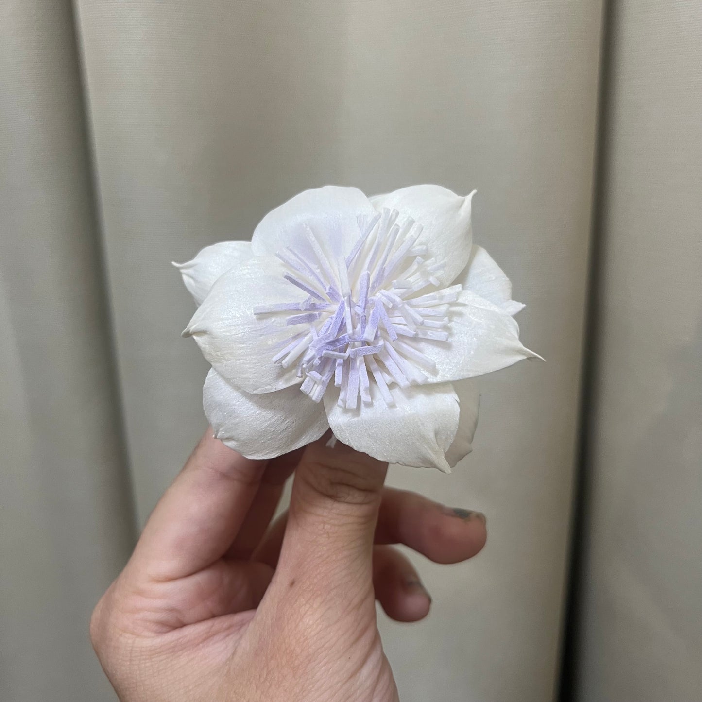 ✿ 台灣現貨 ✿ S-AC 索拉花 6CM 通草花 擴香花 水仙花