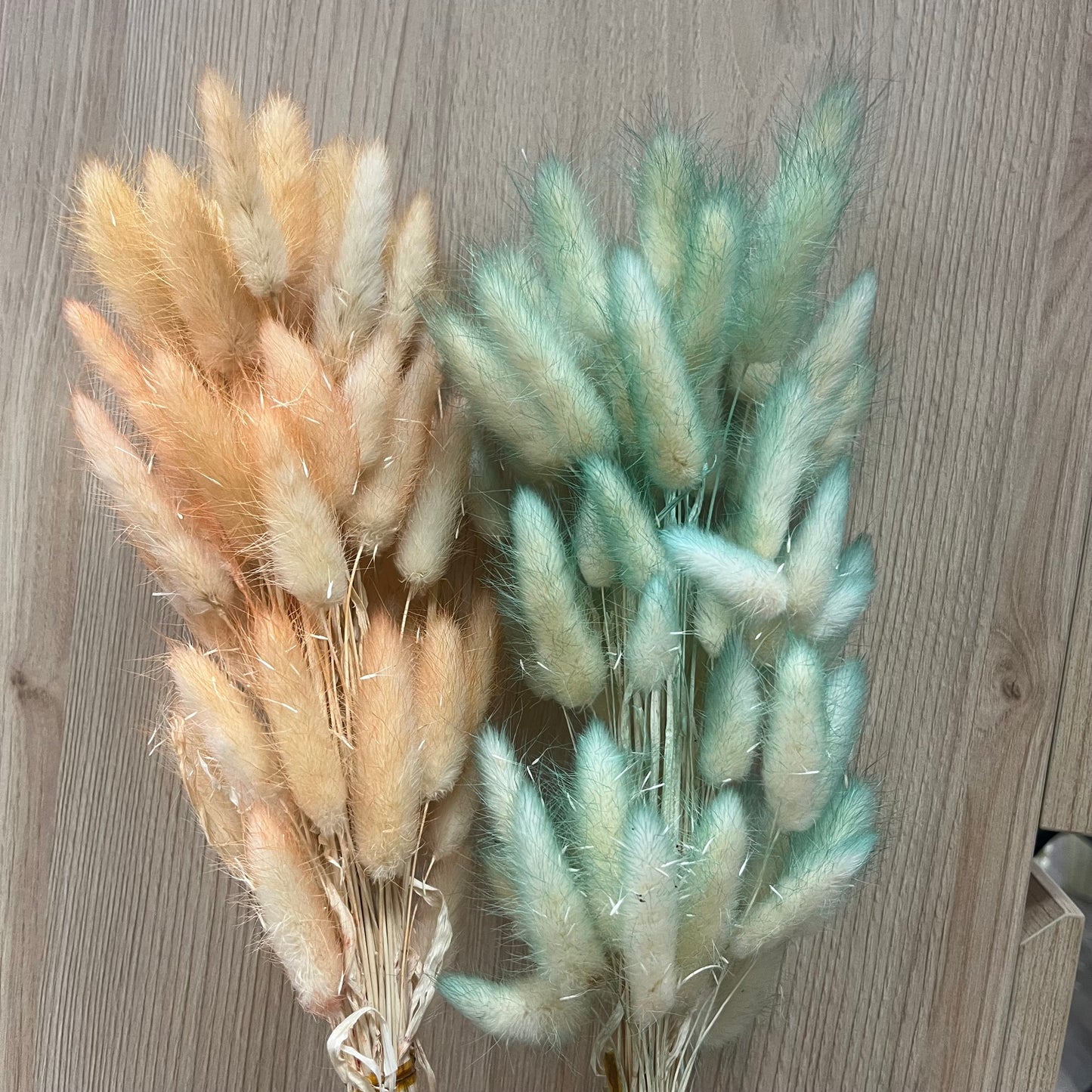 ✿ 台灣現貨 ✿ DA001s兔尾草 10支