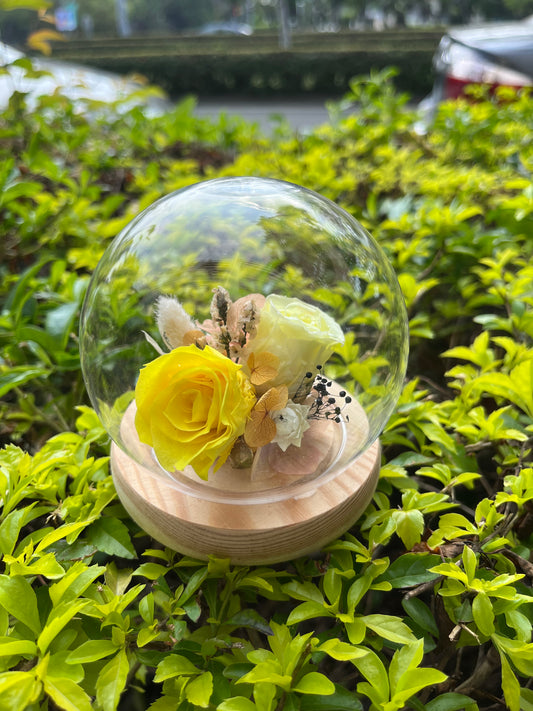 gift-g017永生花罩盅xs(無燈）