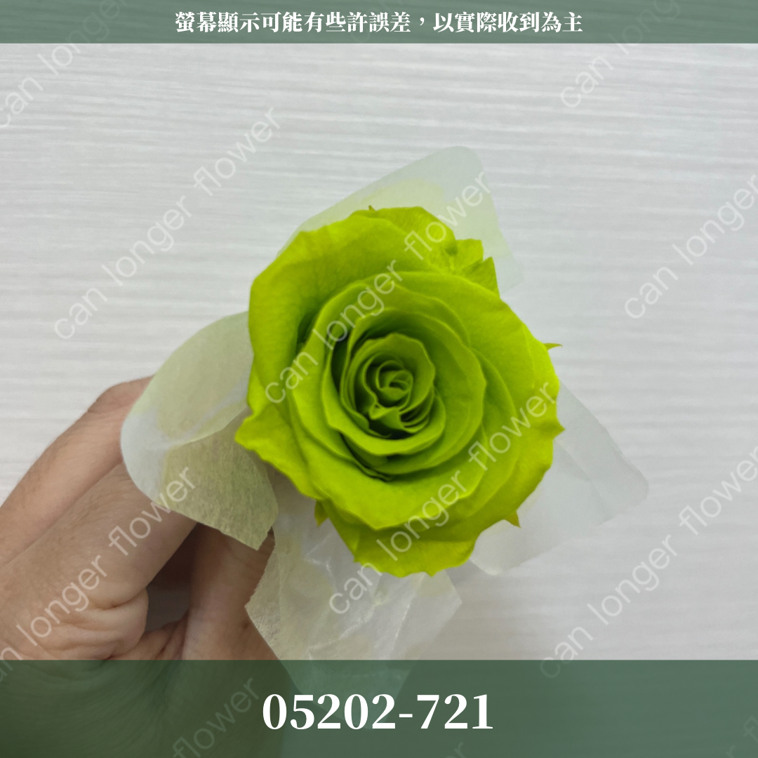 05202 大玫瑰