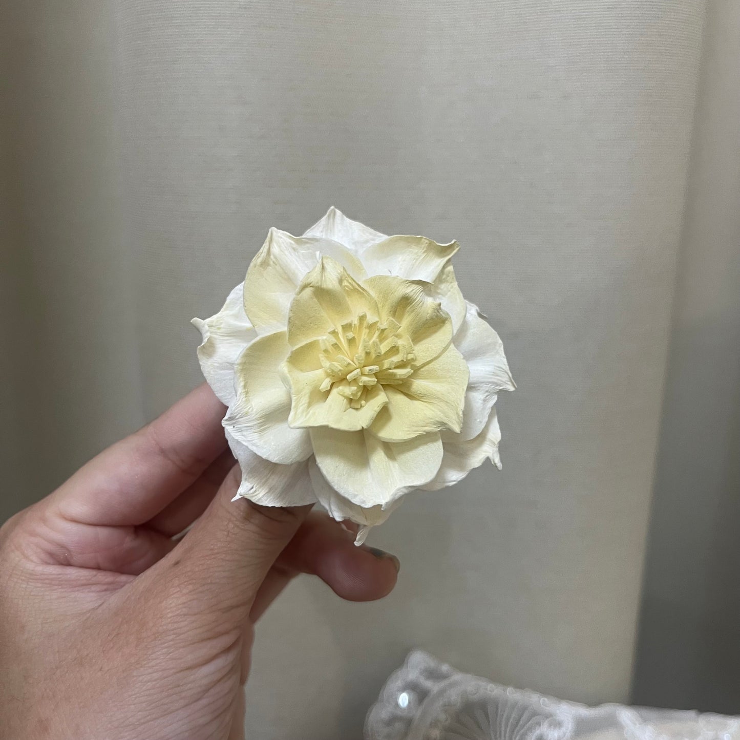 ✿ 台灣現貨 ✿ S-U 索拉花 6CM 通草花 擴香花