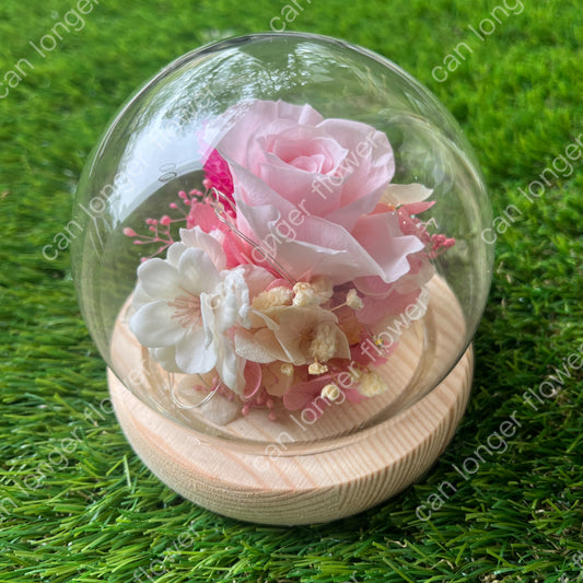gift-g050永生花罩盅xs(帶燈)