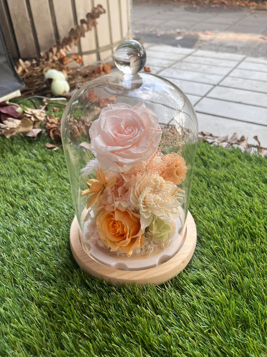 gift-g045永生花罩盅L(帶燈)