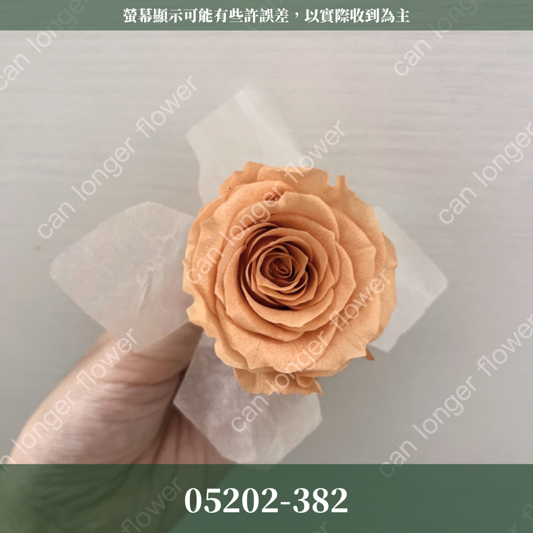 05202 大玫瑰