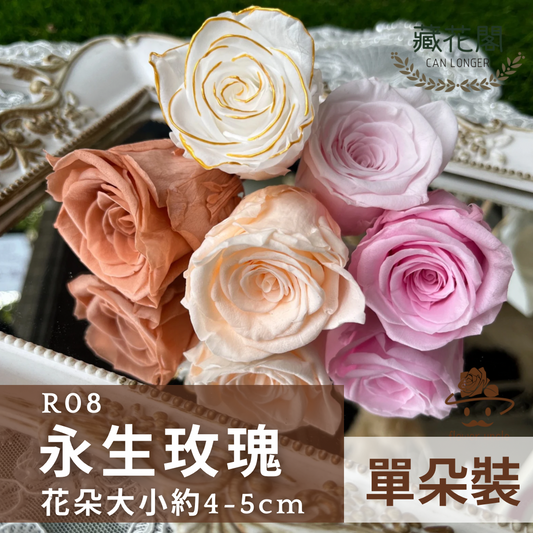 R08 八輪玫瑰