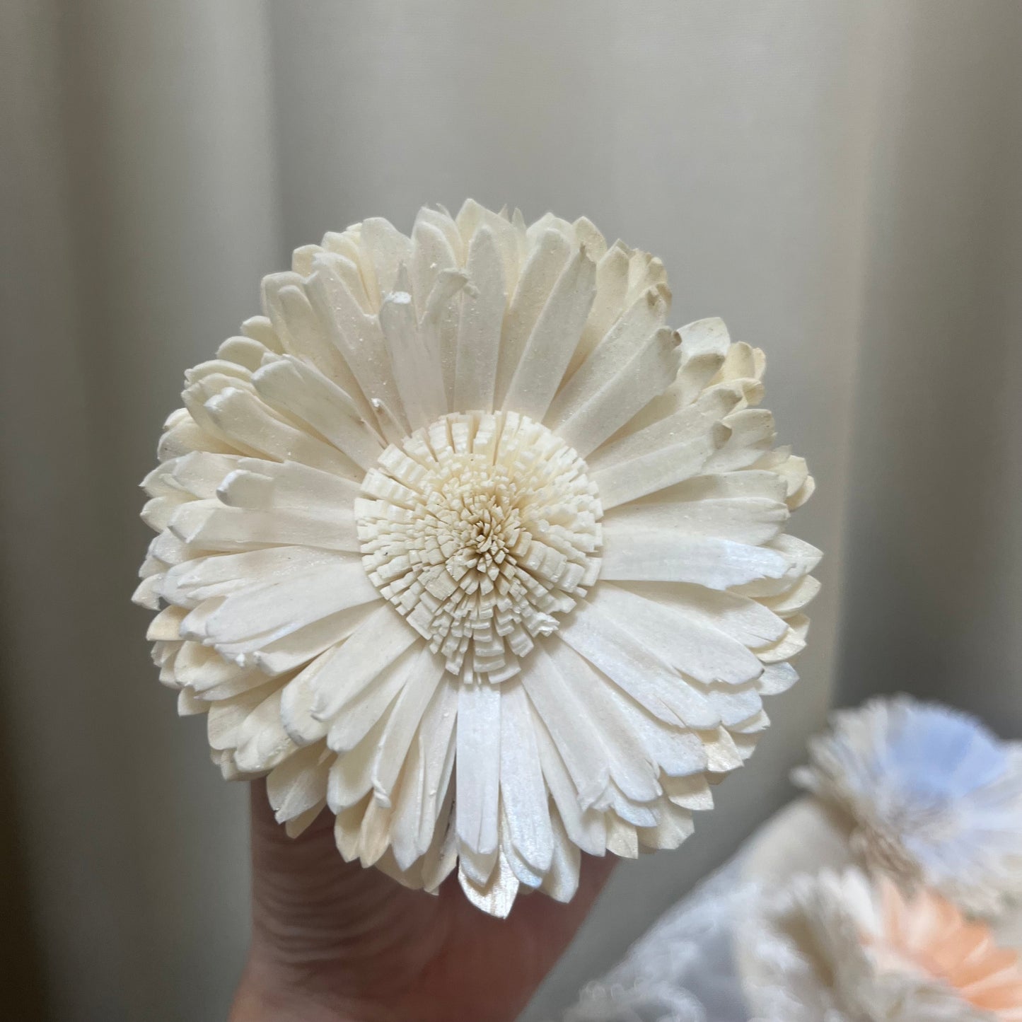 ✿ 台灣現貨 ✿ S-AD 索拉花 8CM 通草花 擴香花 向日葵 太陽花 太陽菊