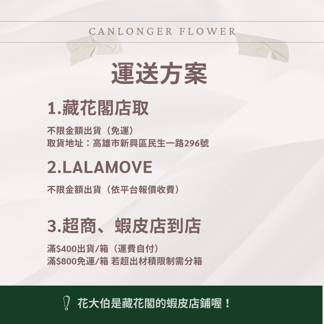 R08Bs B級八輪永生玫瑰 5cm玫瑰 單朵 永生花 不凋花 台灣現貨