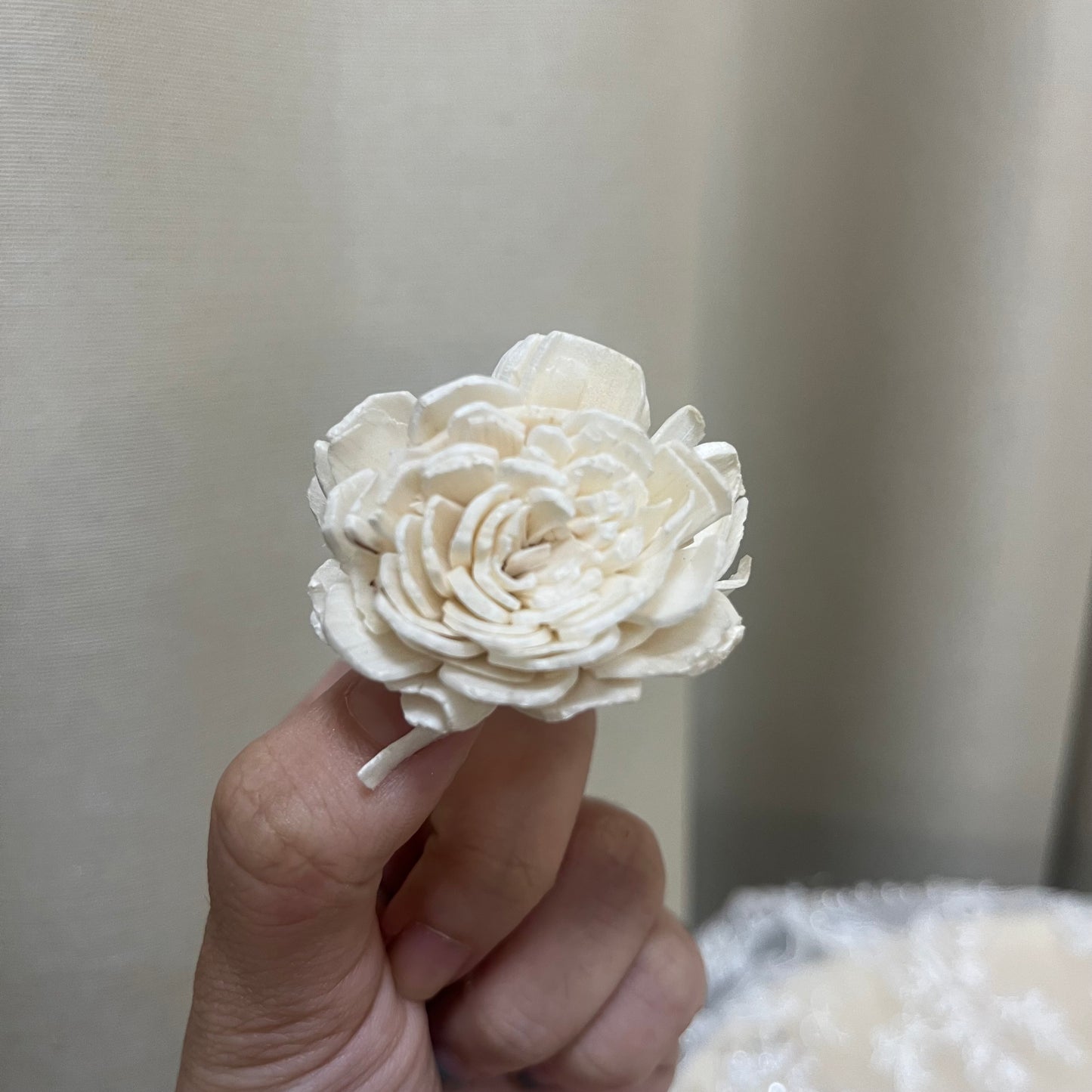 ✿ 台灣現貨 ✿ S-b 索拉花 4CM 通草花 擴香花 太陽玫瑰 日本大地 太陽菊