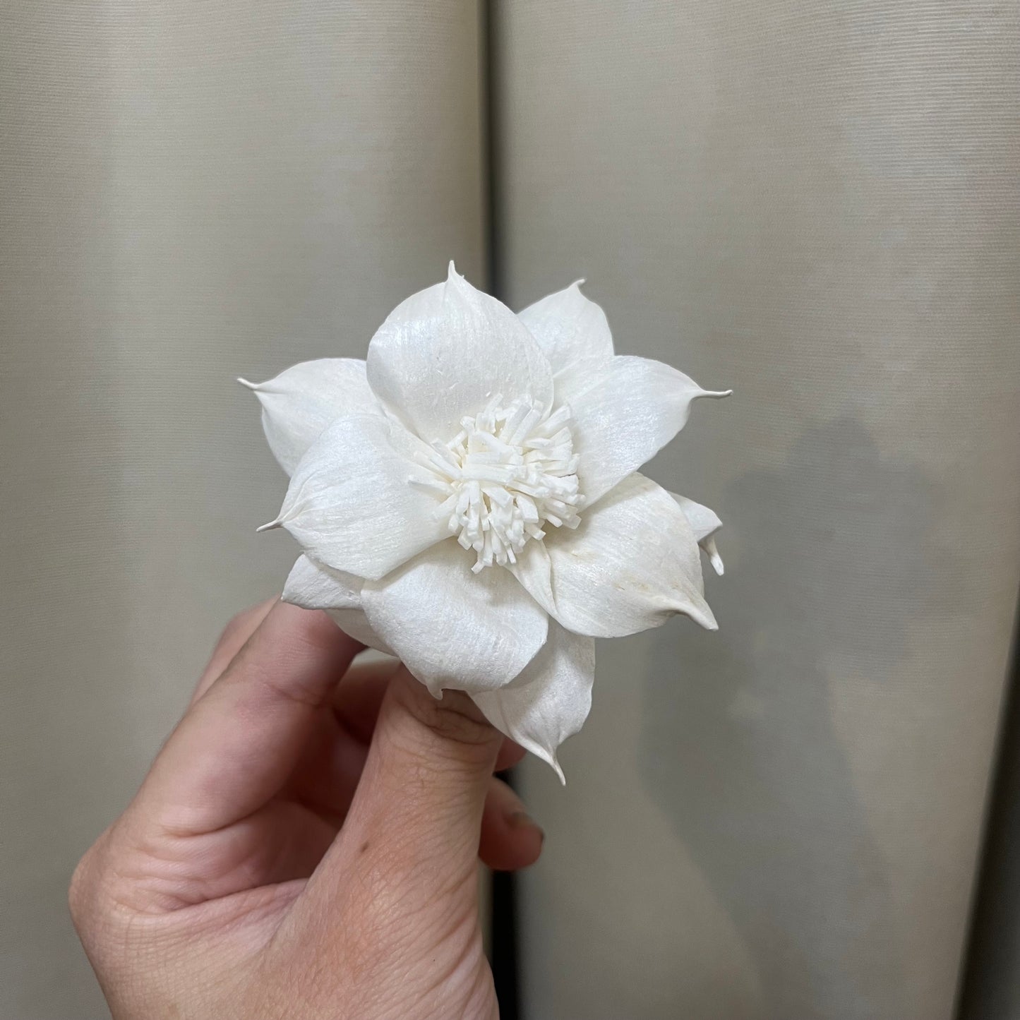 ✿ 台灣現貨 ✿ S-AC 索拉花 6CM 通草花 擴香花 水仙花
