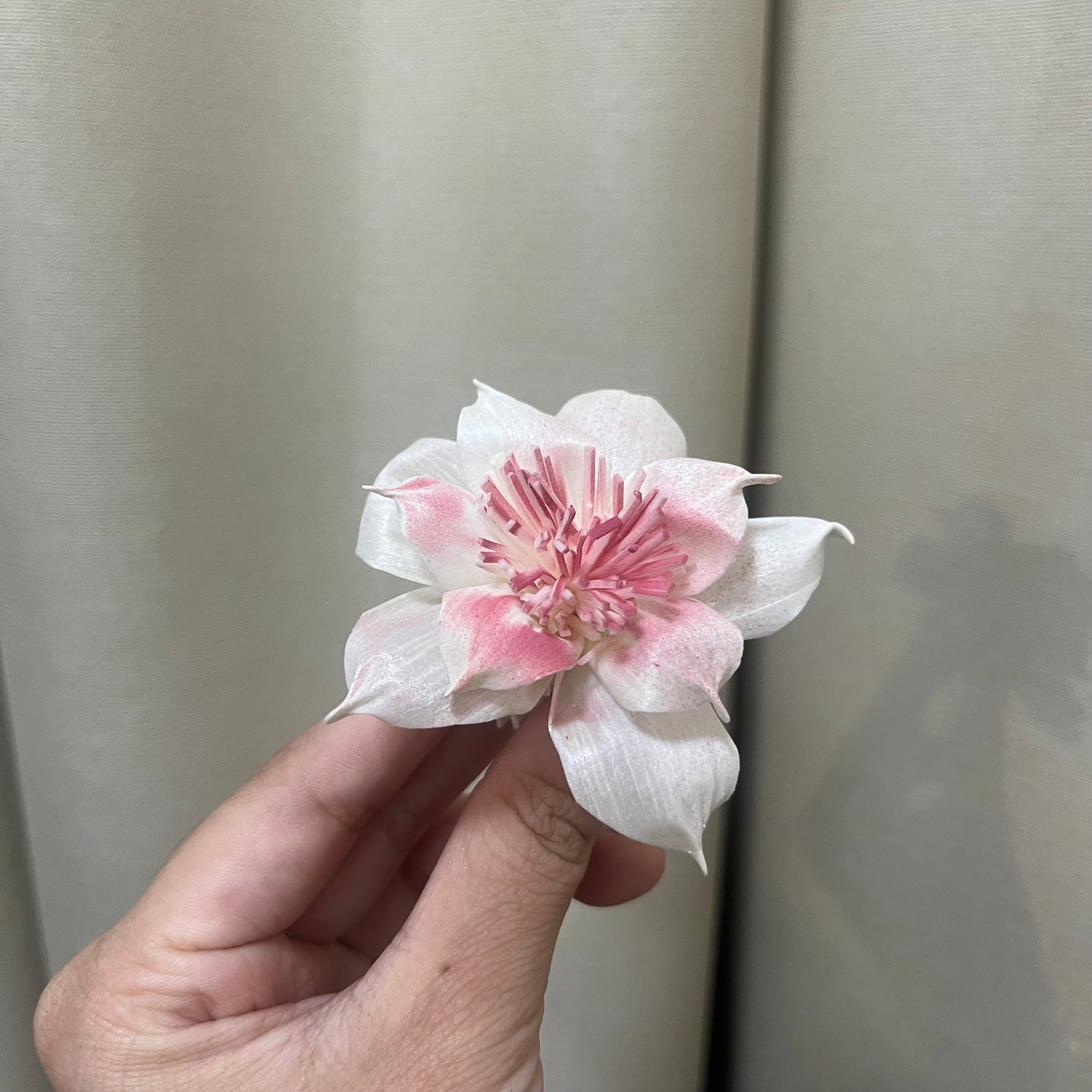 ✿ 台灣現貨 ✿ S-AC 索拉花 6CM 通草花 擴香花 水仙花