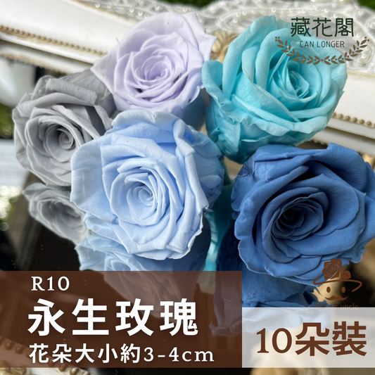✿ 台灣現貨 ✿ R10 永生玫瑰 3~4cm玫瑰 Ａ級 10朵裝 永生花 不凋花