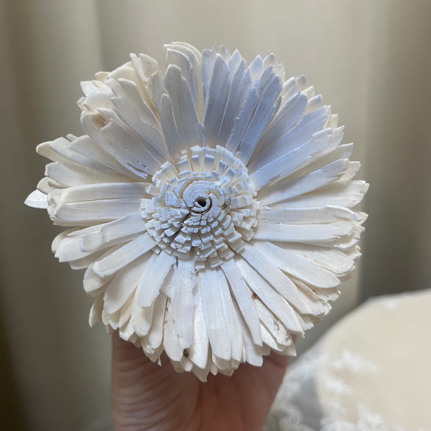 ✿ 台灣現貨 ✿ S-AD 索拉花 8CM 通草花 擴香花 向日葵 太陽花 太陽菊