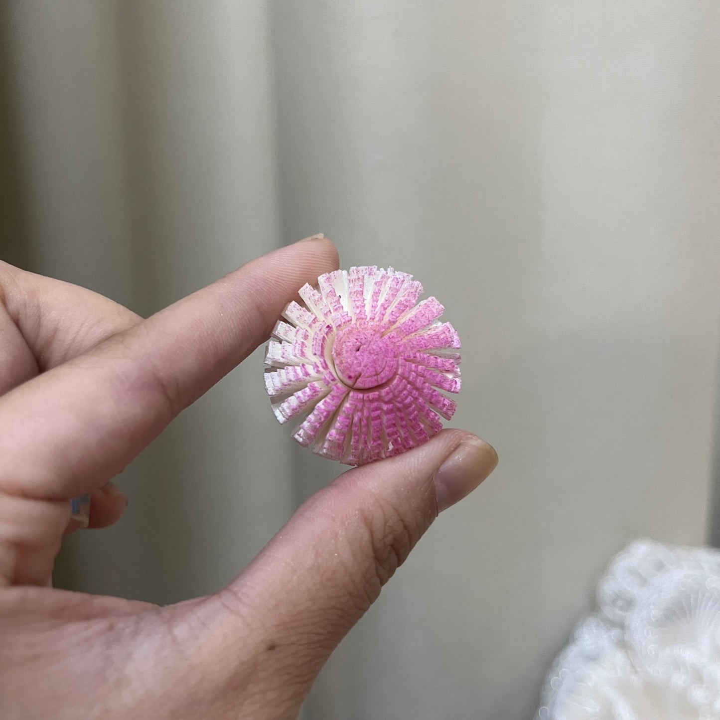 ✿ 台灣現貨 ✿ S-A 索拉花 3CM 通草花 擴香花 3CM 乒乓菊 小菊