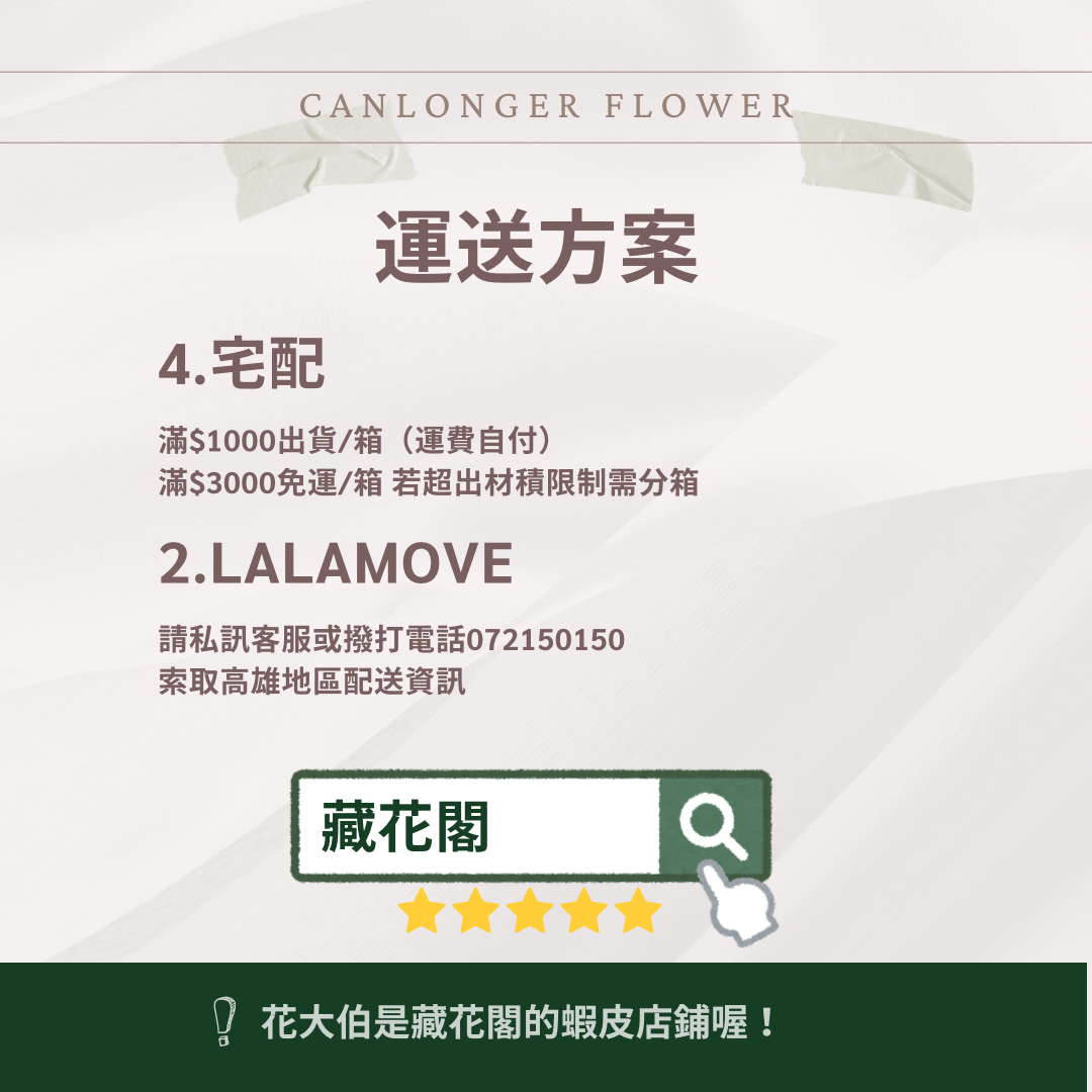 R08Bs B級八輪永生玫瑰 5cm玫瑰 單朵 永生花 不凋花 台灣現貨