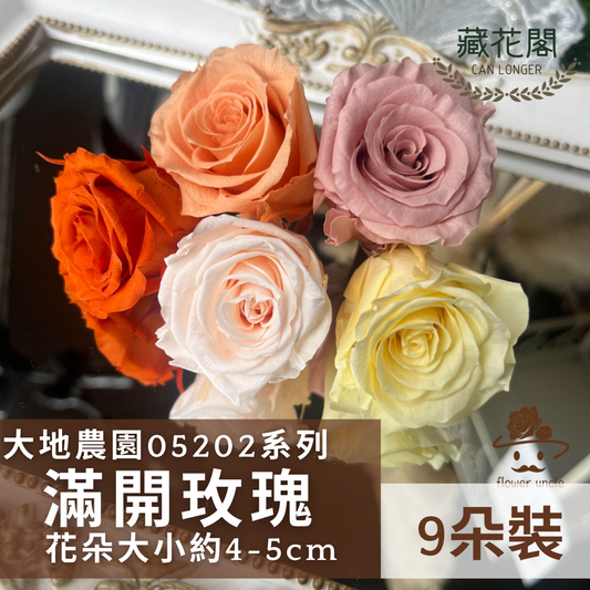 【台灣現貨】花大伯 05202 日本大地農園 大玫瑰 9朵裝 原裝 款式色彩齊全 永生玫瑰 不凋玫瑰