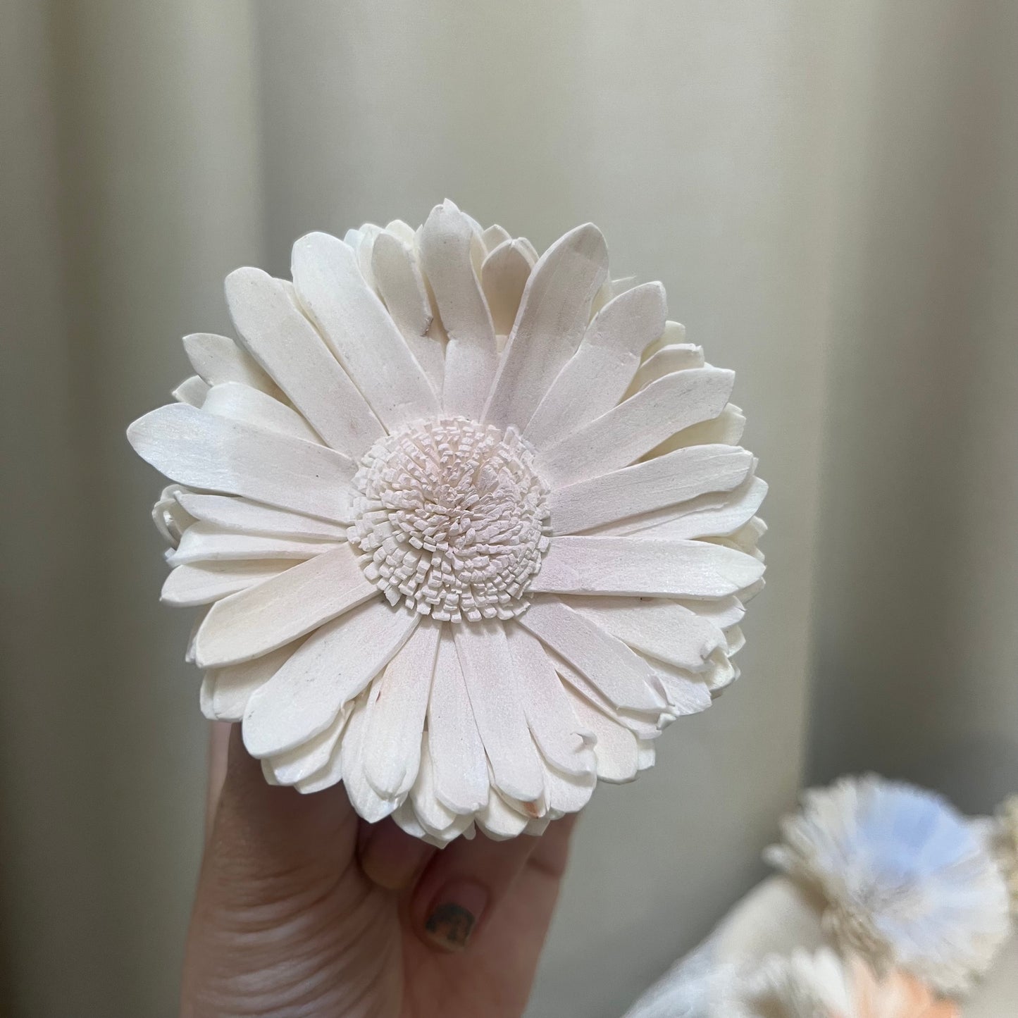 ✿ 台灣現貨 ✿ S-AD 索拉花 8CM 通草花 擴香花 向日葵 太陽花 太陽菊
