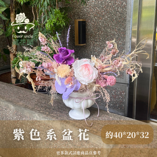 Gift-F065 紫色系陶瓷冠軍杯盆花 紫色 盆花 開幕 送禮 慶賀