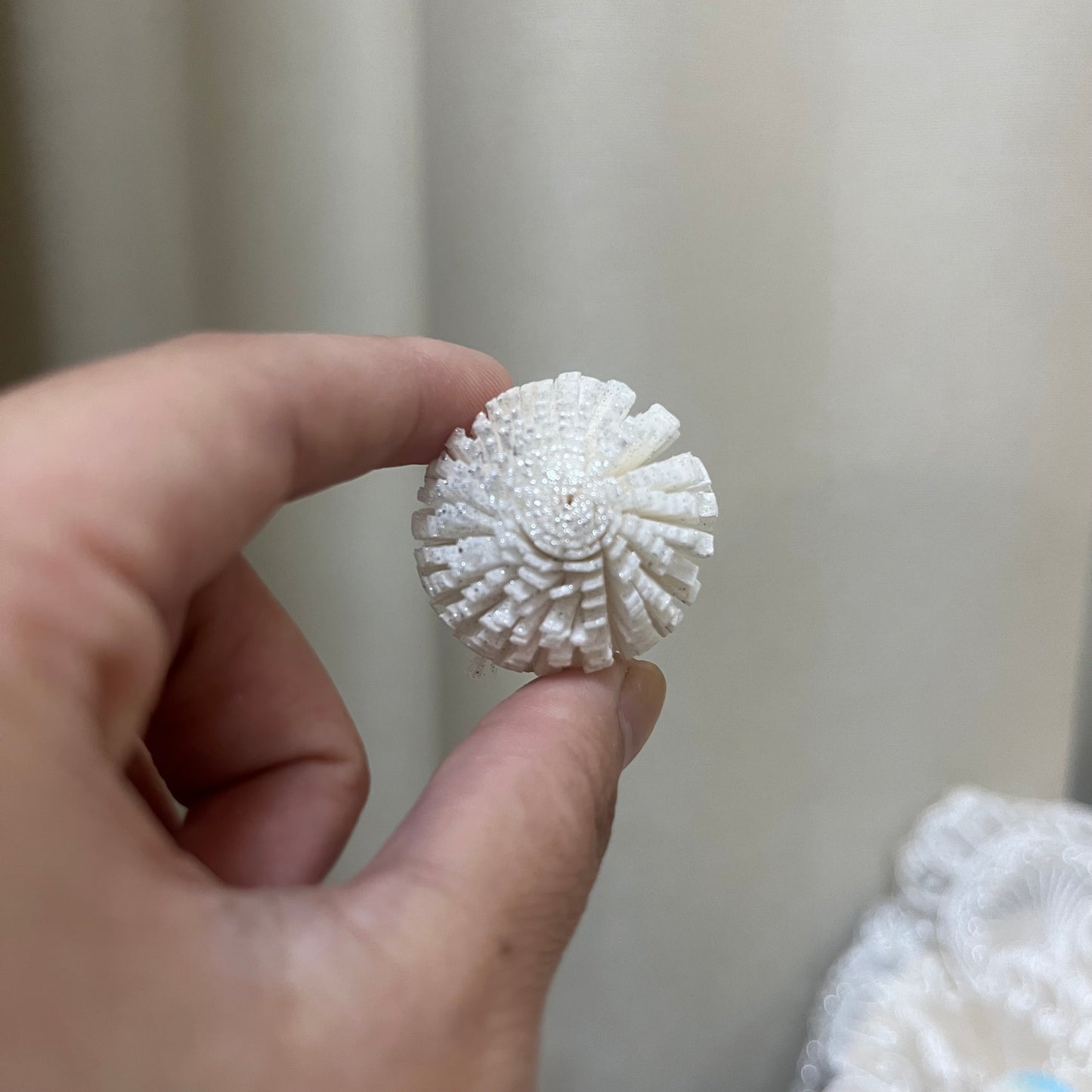 ✿ 台灣現貨 ✿ S-A 索拉花 3CM 通草花 擴香花 3CM 乒乓菊 小菊