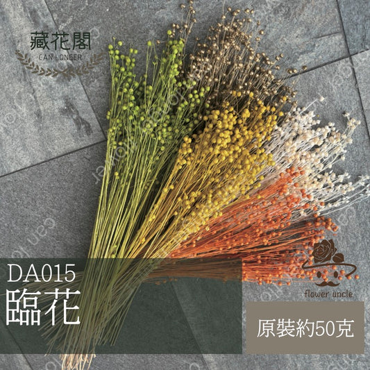✿ 台灣現貨 ✿ DA015 臨花
