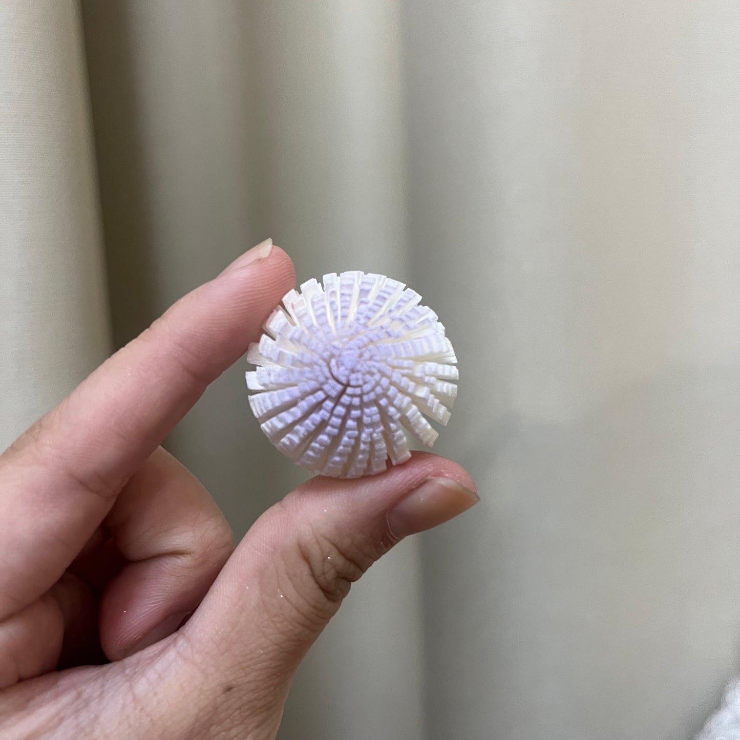 ✿ 台灣現貨 ✿ S-A 索拉花 3CM 通草花 擴香花 3CM 乒乓菊 小菊
