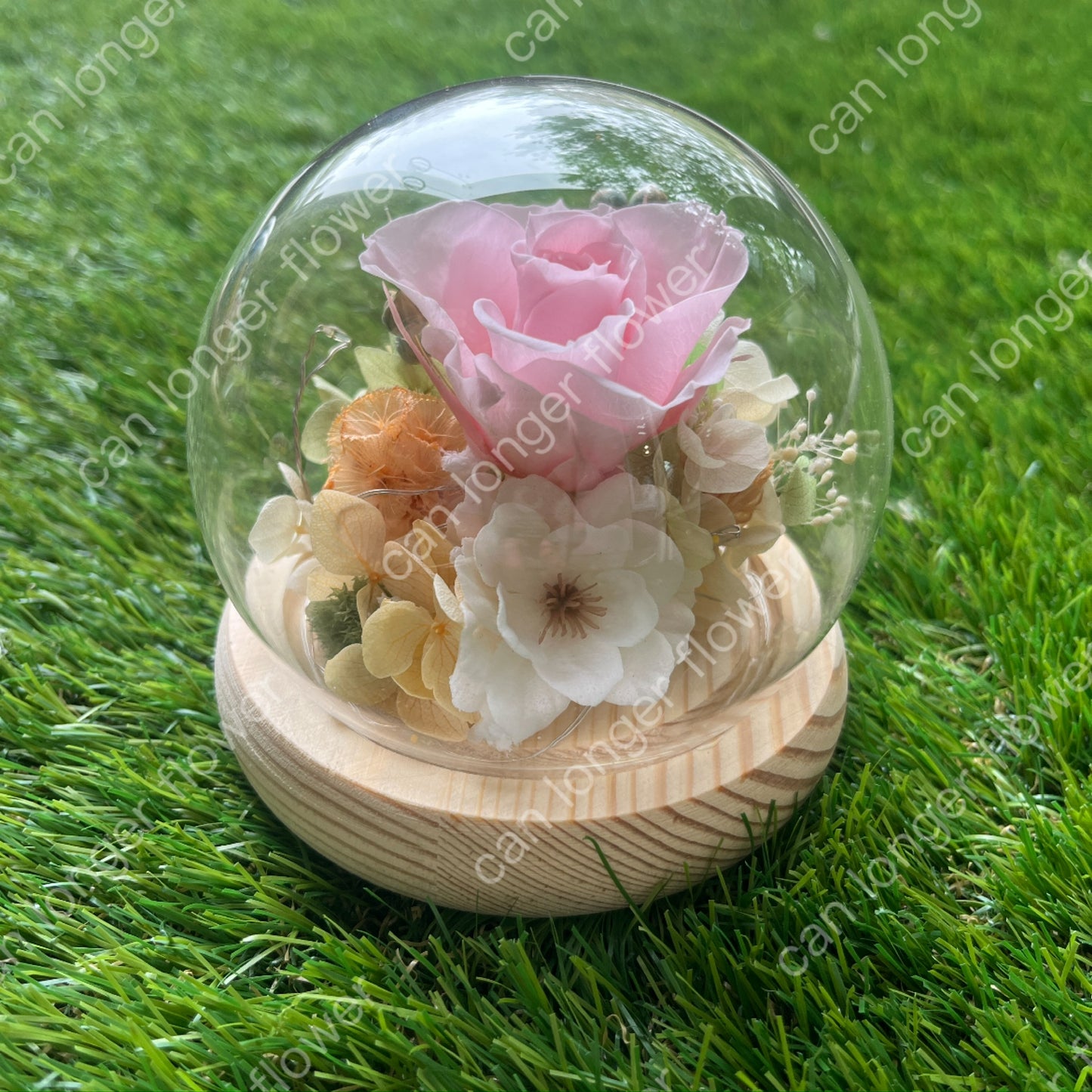gift-g052永生花罩盅xs(帶燈)