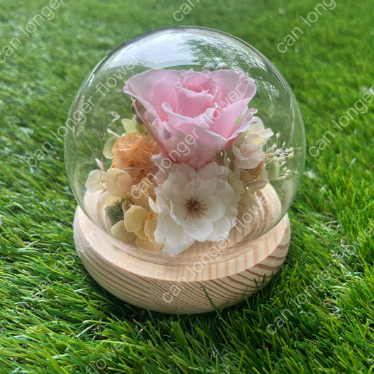 gift-g052永生花罩盅xs(帶燈)