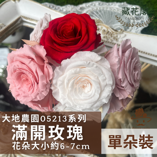 05213 滿開玫瑰