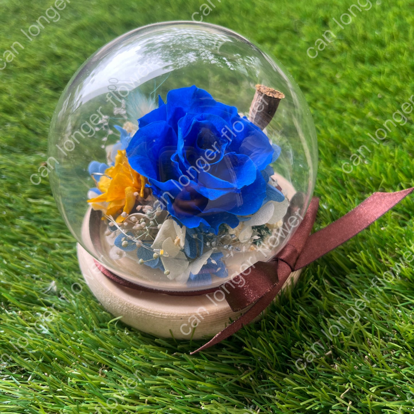 gift-g054永生花罩盅xs(帶燈)