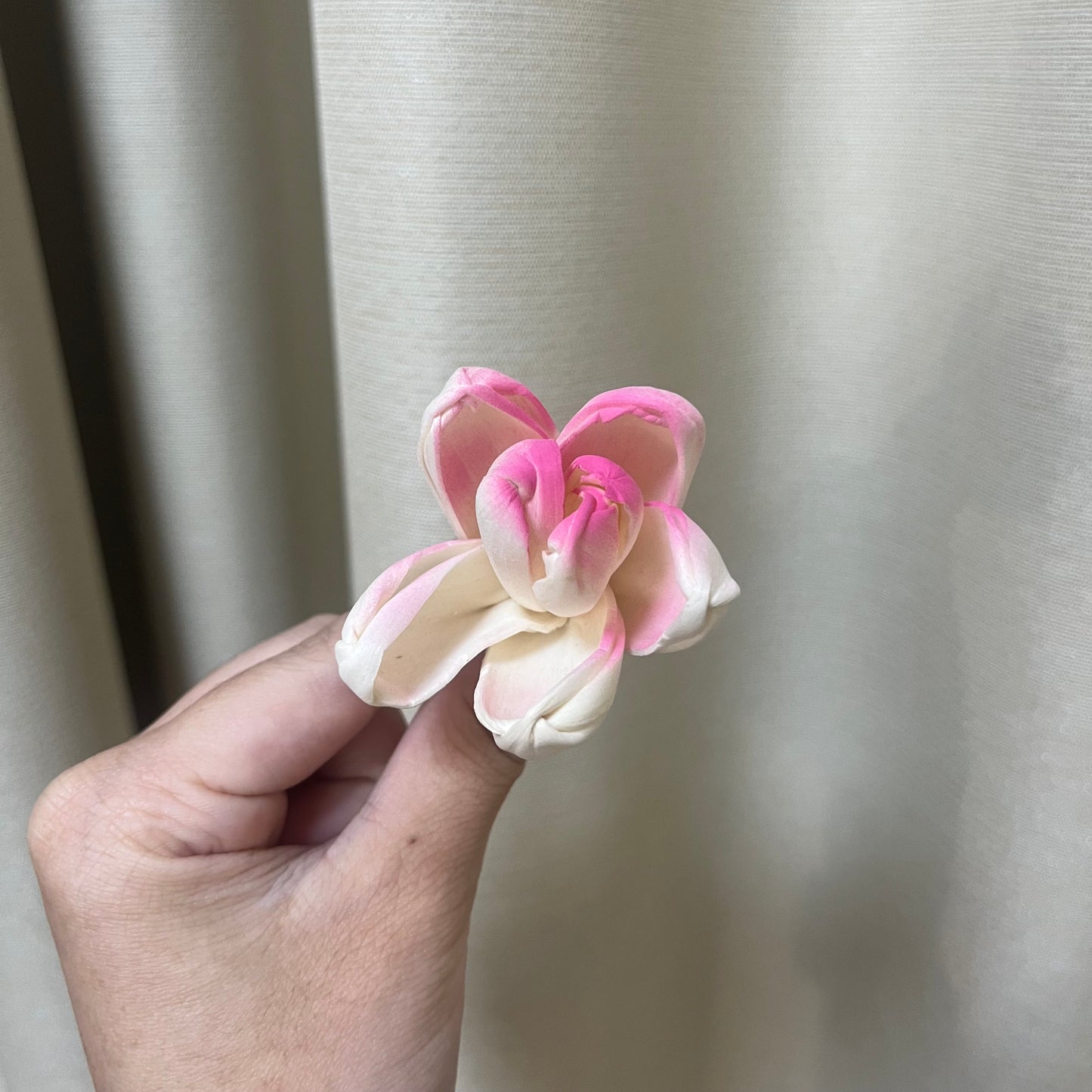 ✿ 台灣現貨 ✿ S-Y 索拉花 4CM 通草花 擴香花