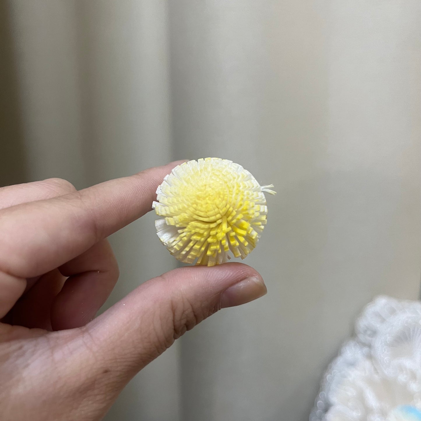 ✿ 台灣現貨 ✿ S-A 索拉花 3CM 通草花 擴香花 3CM 乒乓菊 小菊