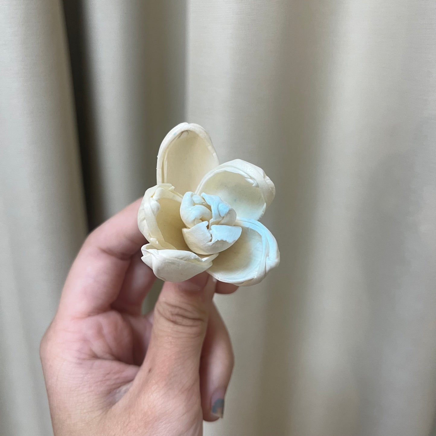 ✿ 台灣現貨 ✿ S-Y 索拉花 4CM 通草花 擴香花