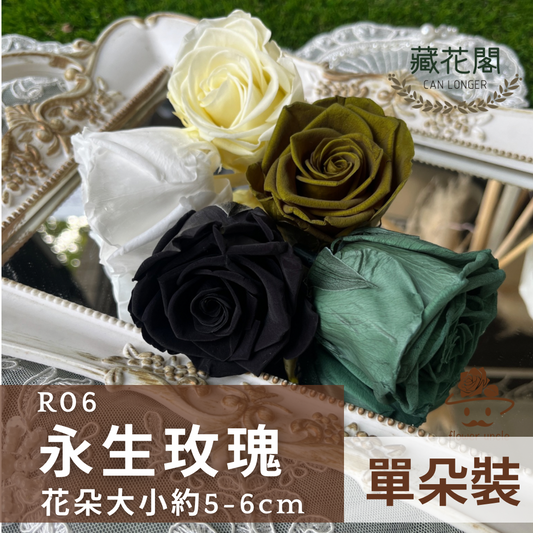 R06 六輪玫瑰