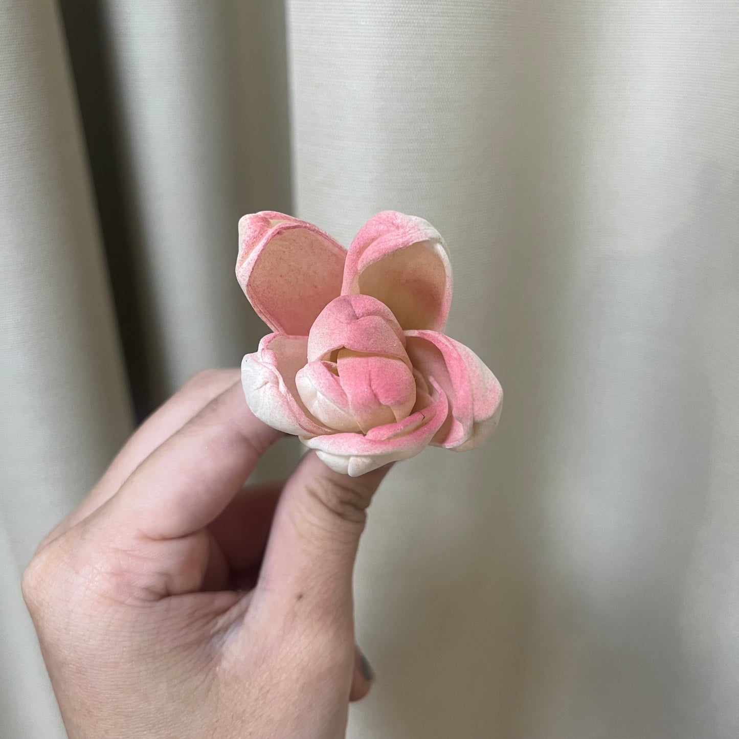 ✿ 台灣現貨 ✿ S-Y 索拉花 4CM 通草花 擴香花