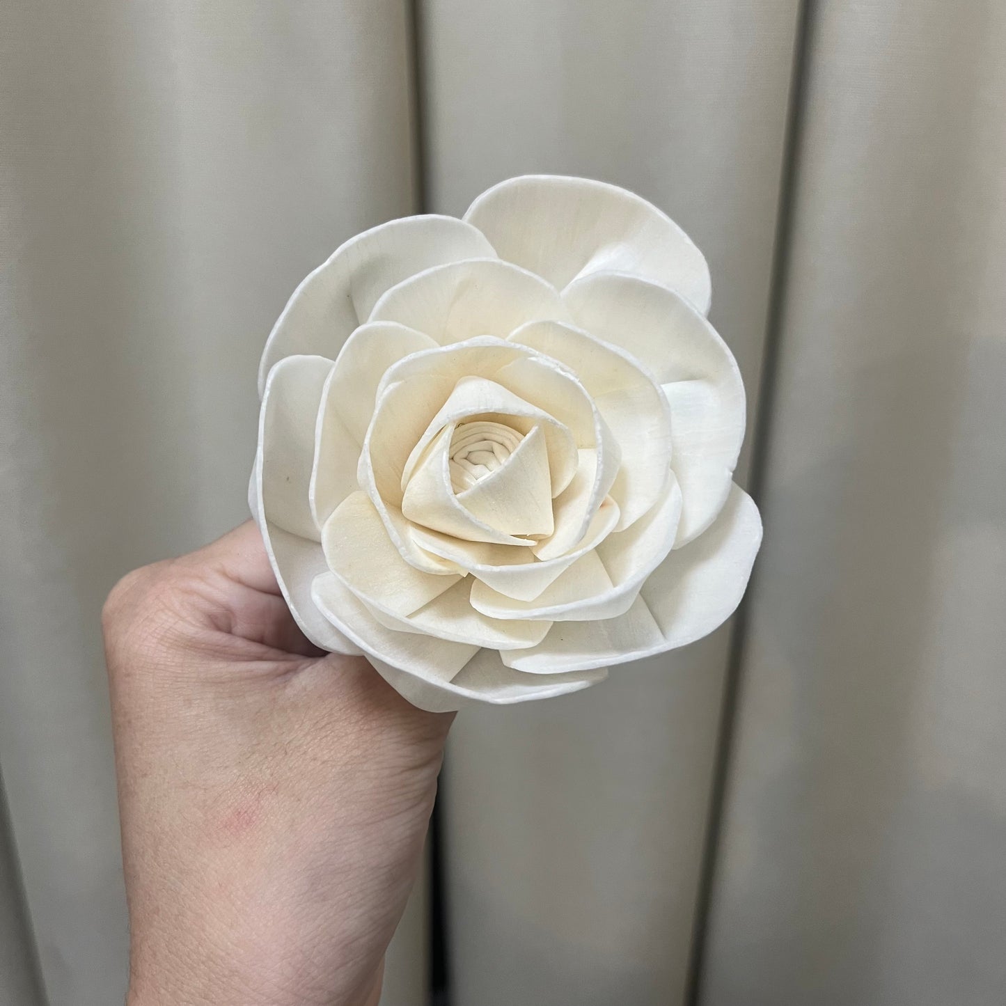 ✿ 台灣現貨 ✿ S-M索拉花 8CM 通草花 擴香花 天使玫瑰 玫瑰 薔薇