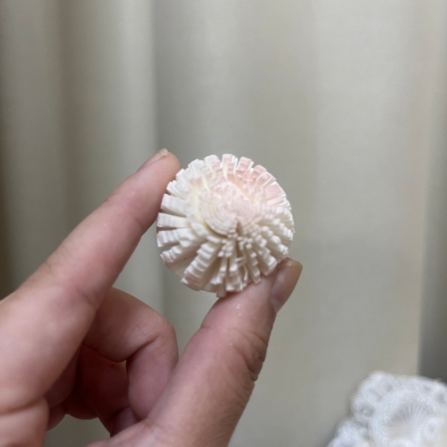 ✿ 台灣現貨 ✿ S-A 索拉花 3CM 通草花 擴香花 3CM 乒乓菊 小菊